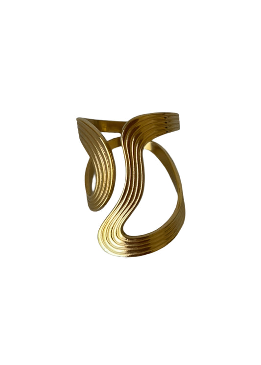 Blake Ring